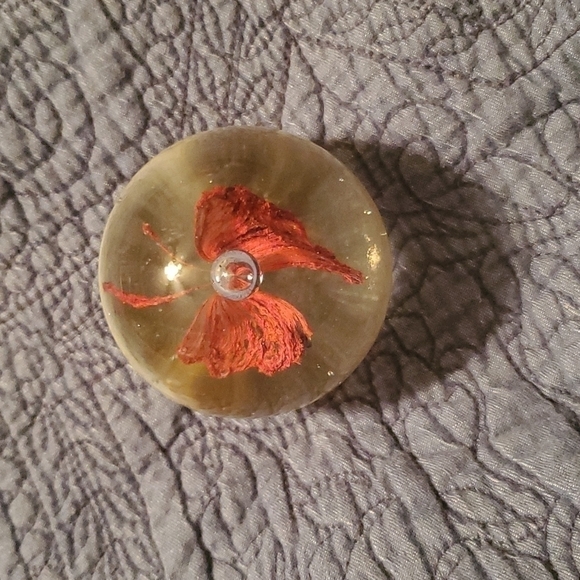 unsigned Other - 𝅺VINTAGE Floral Glass Paperweight